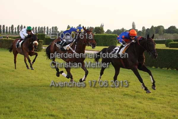 ET0Q0761a prot